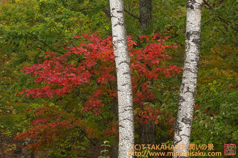 ../Images/7R251026 (172).jpg